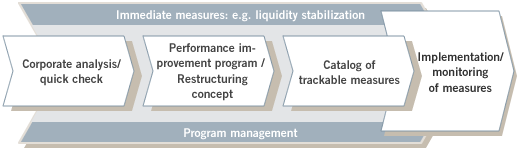 Unternehmensanalyse / Quick Check - Ergebnisverbesserungsprogramm / Restrukturierungskonzept - Controllingfähiger Maßnahmenplan - Umsetzung / Maßnahmencontrolling